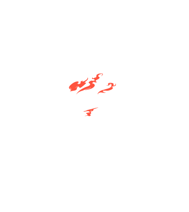 Detector de metale Casetă model negru pe tricou