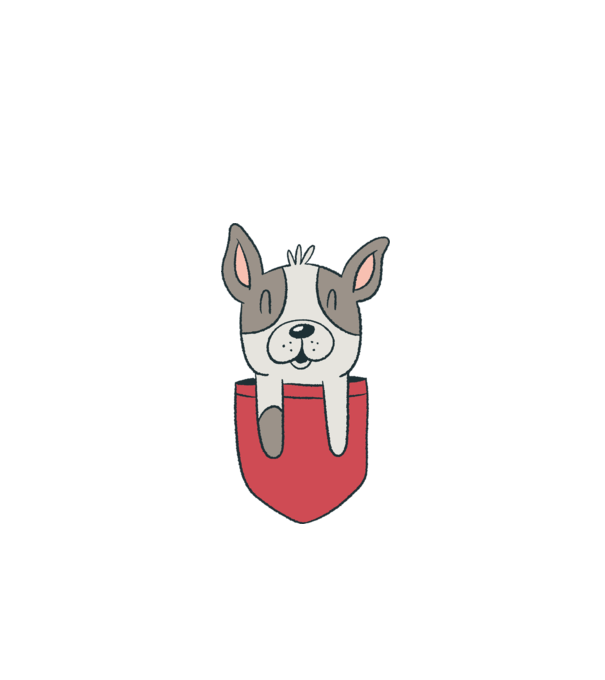 Buzunar pentru Bulldog francez drăguț model turcoaz pe tricou
