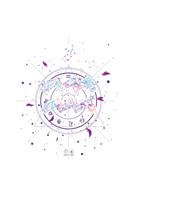 Aquarius Zodiac model negru pe tricou