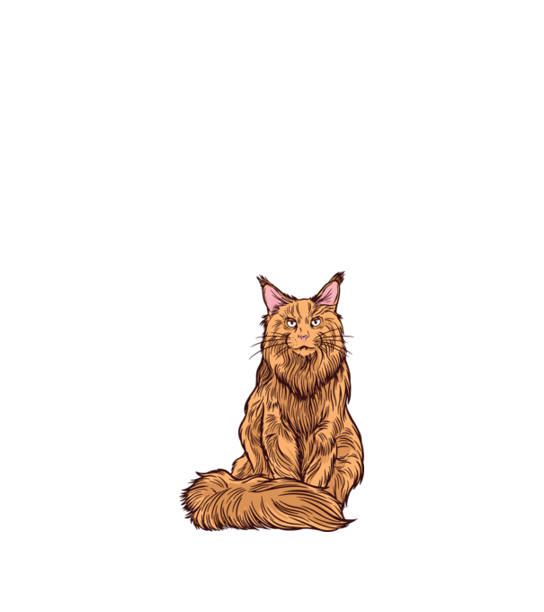 Pisică Maine Coon model albastru închis pe tricou