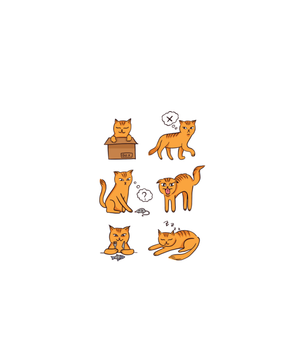 Caracteristici Pisică model alb pe tricou