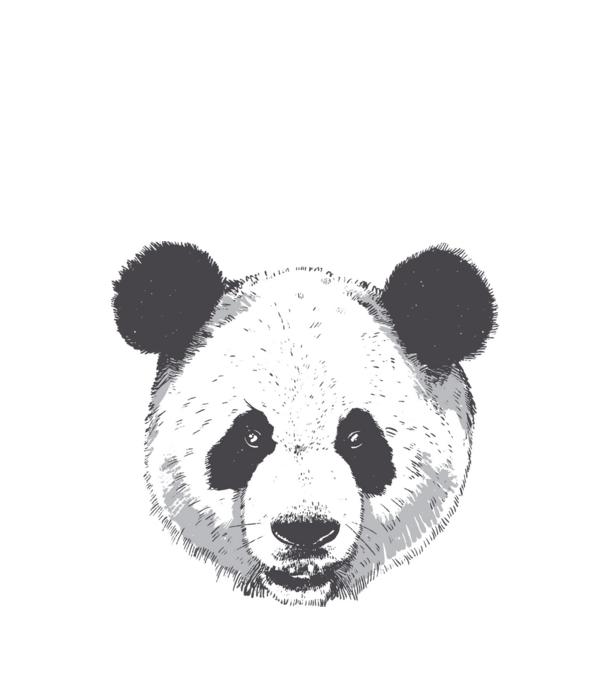 Cap de panda model alb pe tricou
