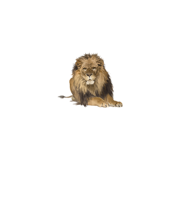 lion king model roz pe tricou