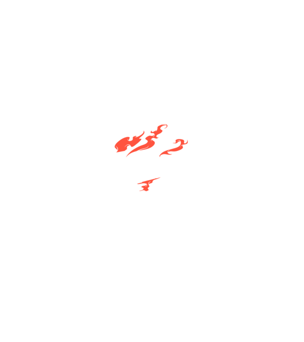 Detector de metale Casetă model negru pe tricou