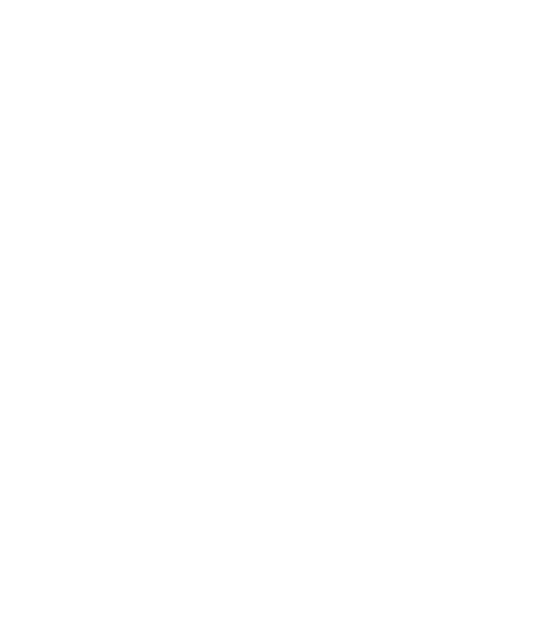 Love hochei model negru pe tricou