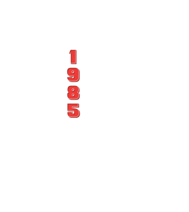 1985 the birth of legends model negru pe tricou