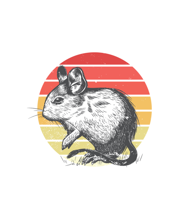 Retro Degu model alb pe tricou