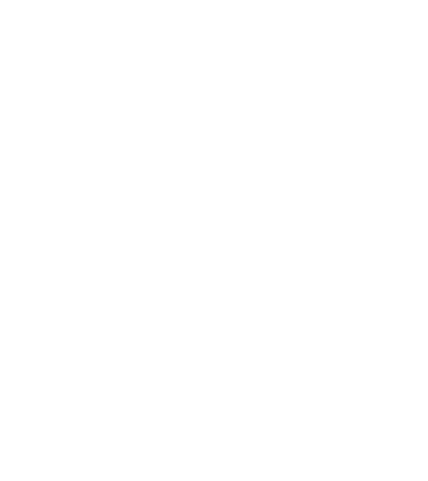 Craniu Viking model negru pe tricou