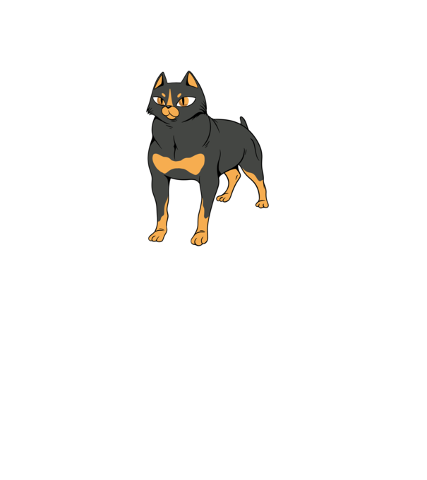 Rottweiler pisică model gri pe tricou