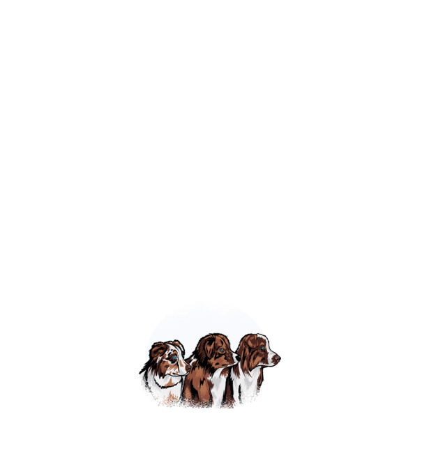Câine ciobănesc Australian model negru pe tricou