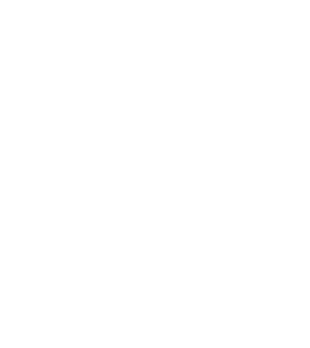 Craniu Viking model turcoaz pe tricou