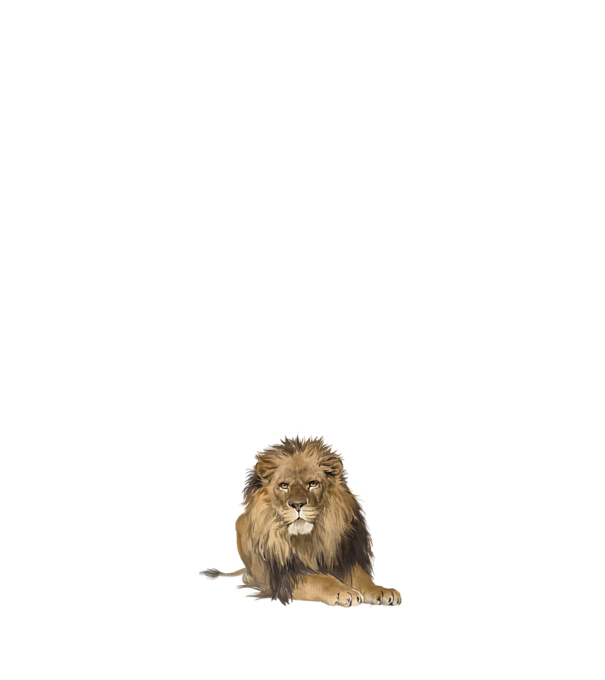 lion king model negru pe tricou
