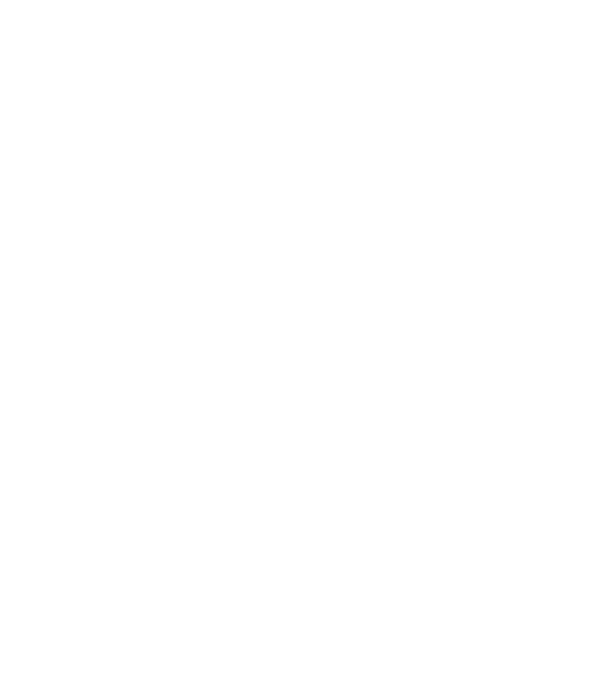 Craniu Viking model negru pe tricou