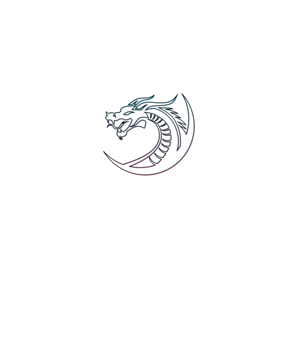 Dragon Tribal model gri pe tricou