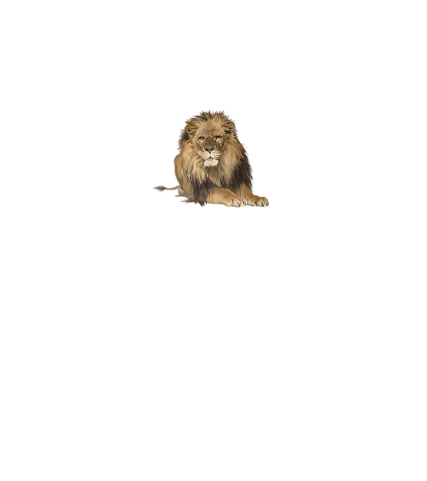 lion king model alb pe tricou