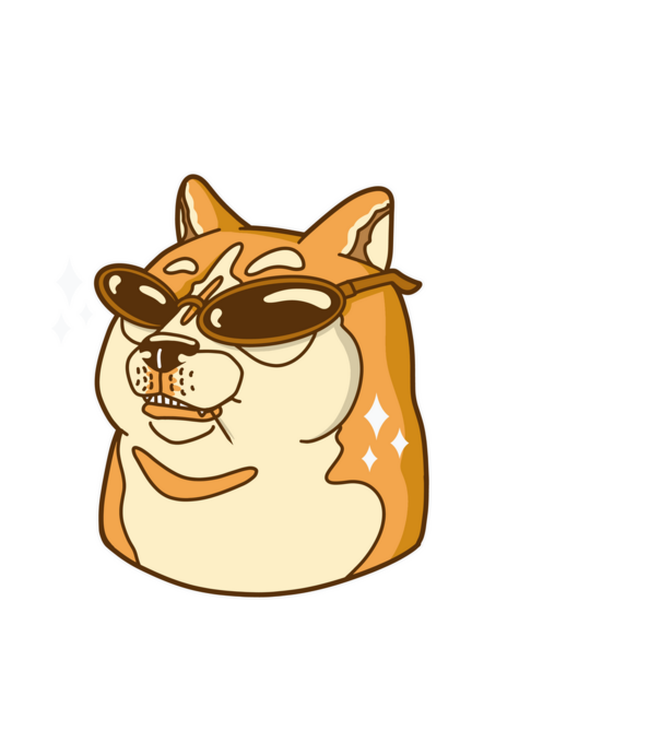 Doge Coin model negru pe tricou
