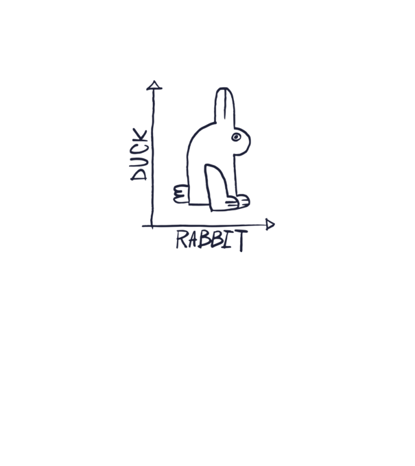 Rabbit vs Duck - Iepure sau Rață model gri pe tricou