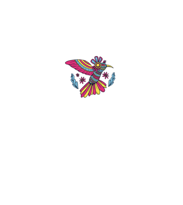 Mandala Colibri model gri pe tricou