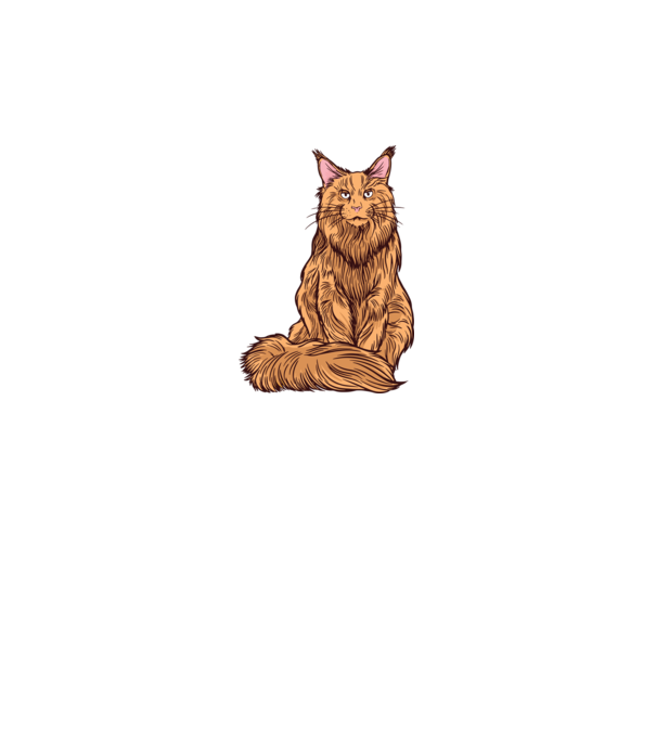 Pisică Maine Coon model gri pe tricou