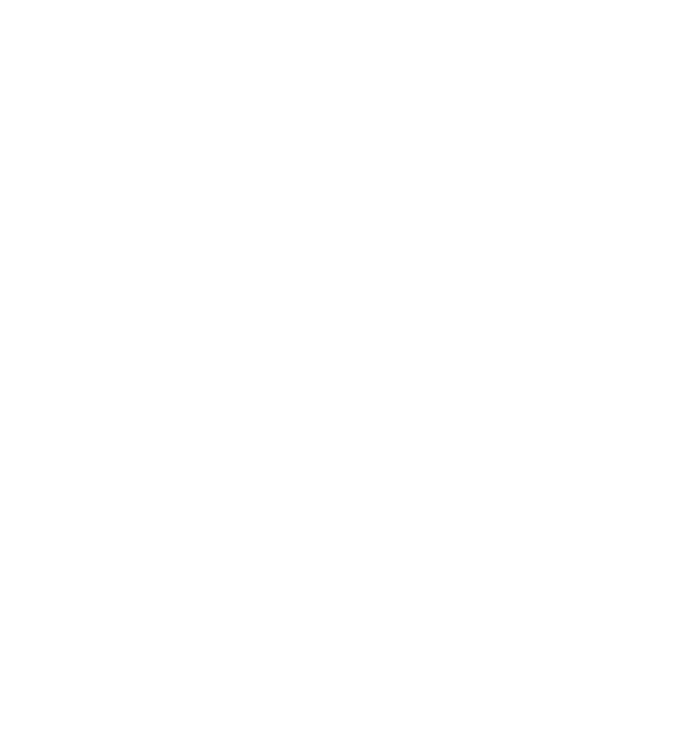 Love hochei model turcoaz pe tricou