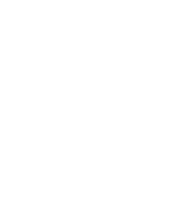 Love hochei model negru pe tricou