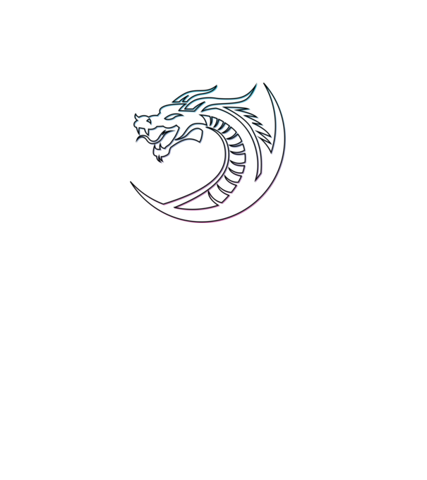 Dragon Tribal model negru pe tricou
