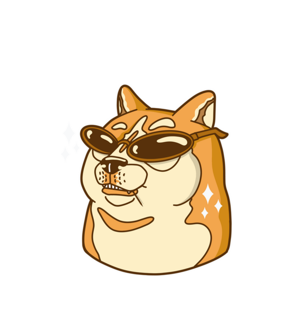 Doge Coin model alb pe tricou