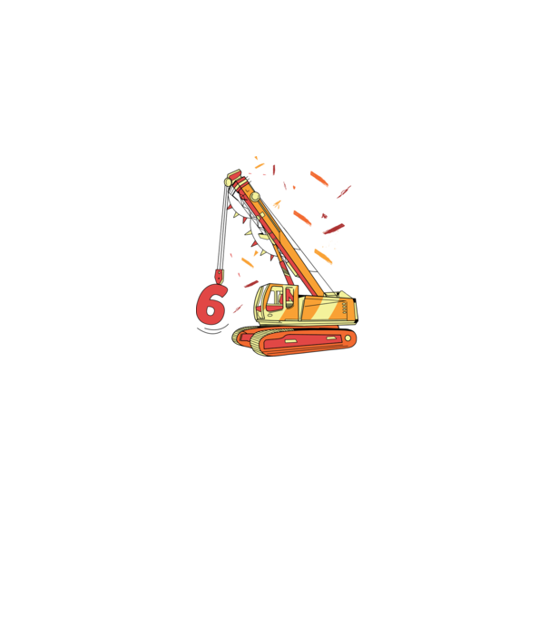 Prindere 6th Birthday model gri pe tricou