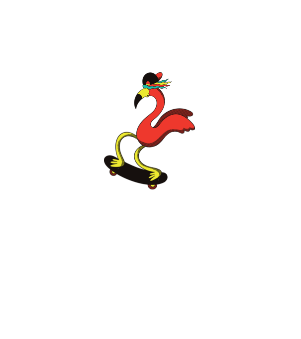 Flamingo Skateboarder model alb pe tricou