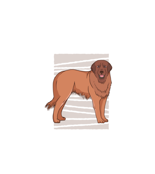 Câine ciobănesc Leonberg model negru pe tricou