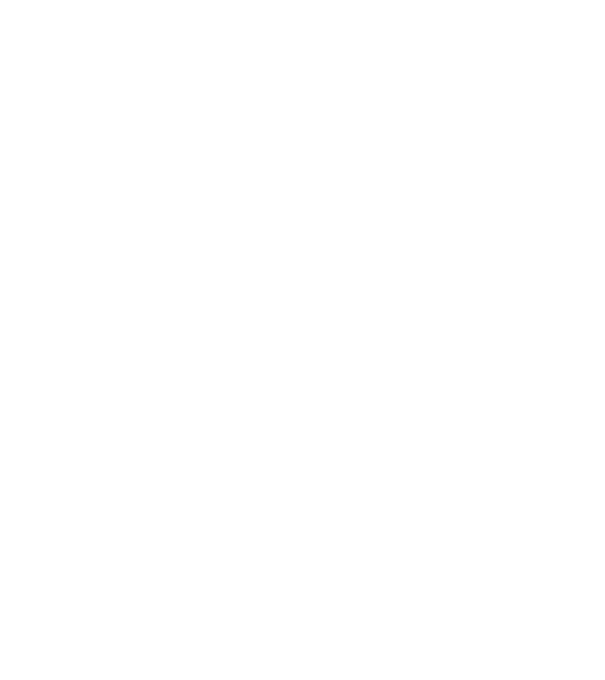 Love hochei model negru pe tricou