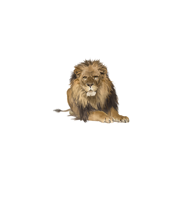 lion king model gri pe tricou