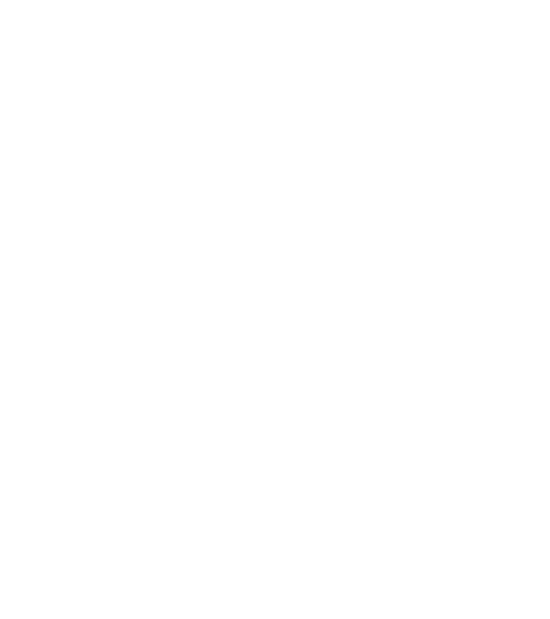 Craniu Viking model negru pe tricou