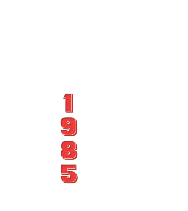 1985 the birth of legends model negru pe tricou