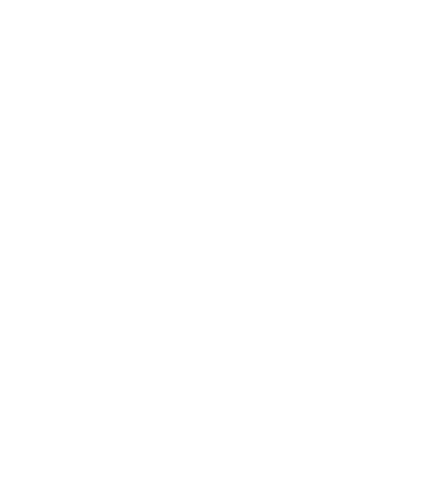Love hochei model negru pe tricou