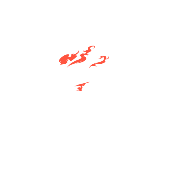 Detector de metale Casetă model negru pe tricou