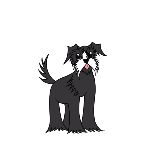 Desen Schnauzer model alb pe tricou