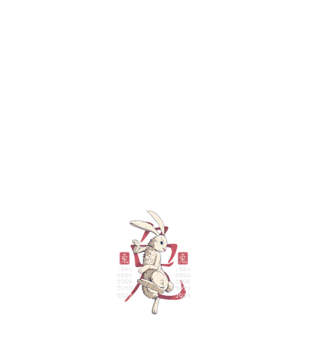 Year of the Rabbit model negru pe tricou