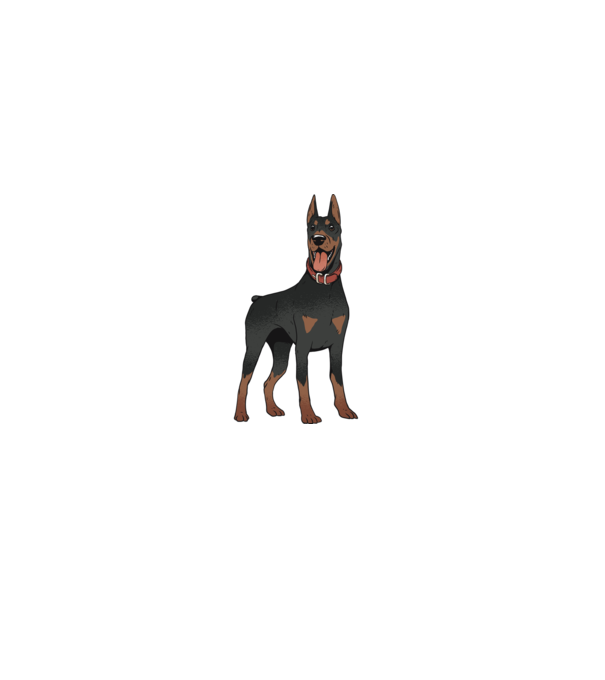 Tricou cu câine dobermann model albastru deschis pe tricou