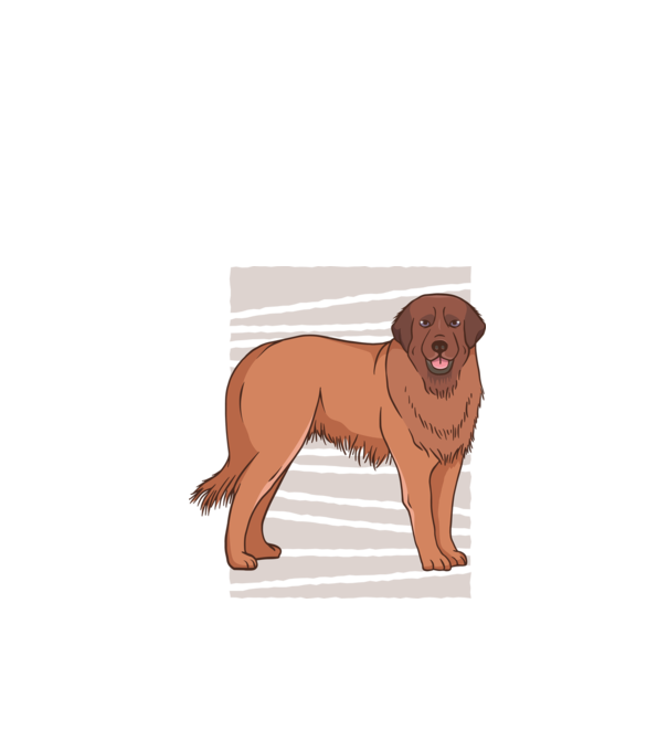 Câine ciobănesc Leonberg model negru pe tricou