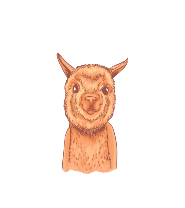 Cap de Alpaca model alb pe tricou