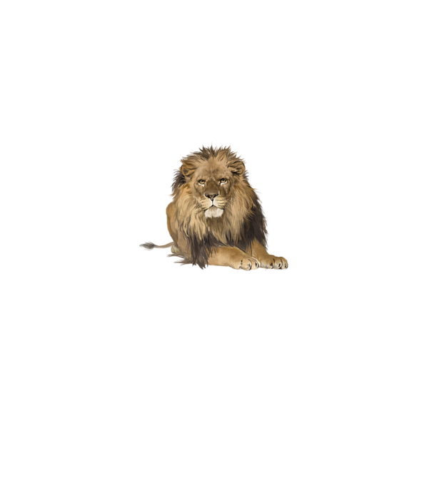 lion king model gri pe tricou