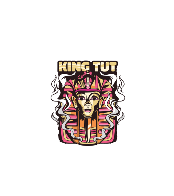 King Tut - Faraonul Tutankhamon model gri pe tricou