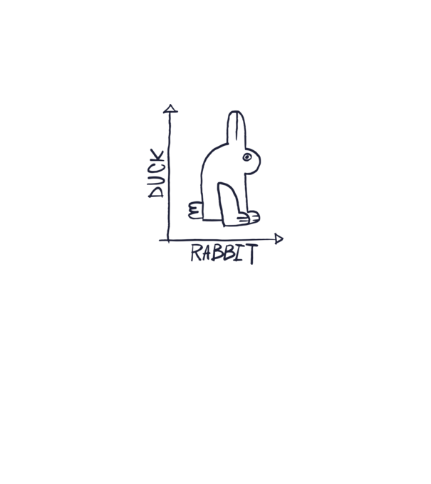 Rabbit vs Duck - Iepure sau Rață model gri pe tricou