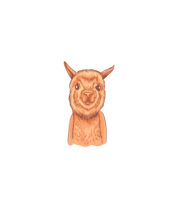 Cap de Alpaca model alb pe tricou