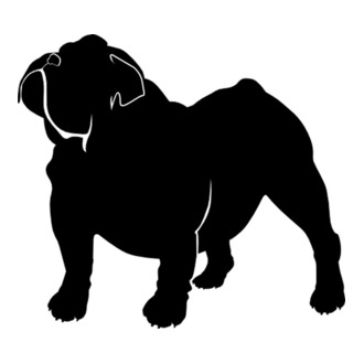 Bulldog englezesc model tricou