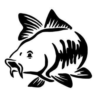 Carp model tricou