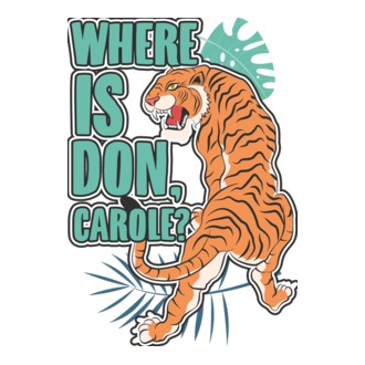 DonCarole model tricou