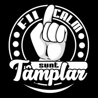 Fii calm... sunt tâmplar model tricou