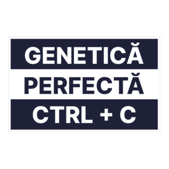 Genetică perfectă CTRL + V model tricou